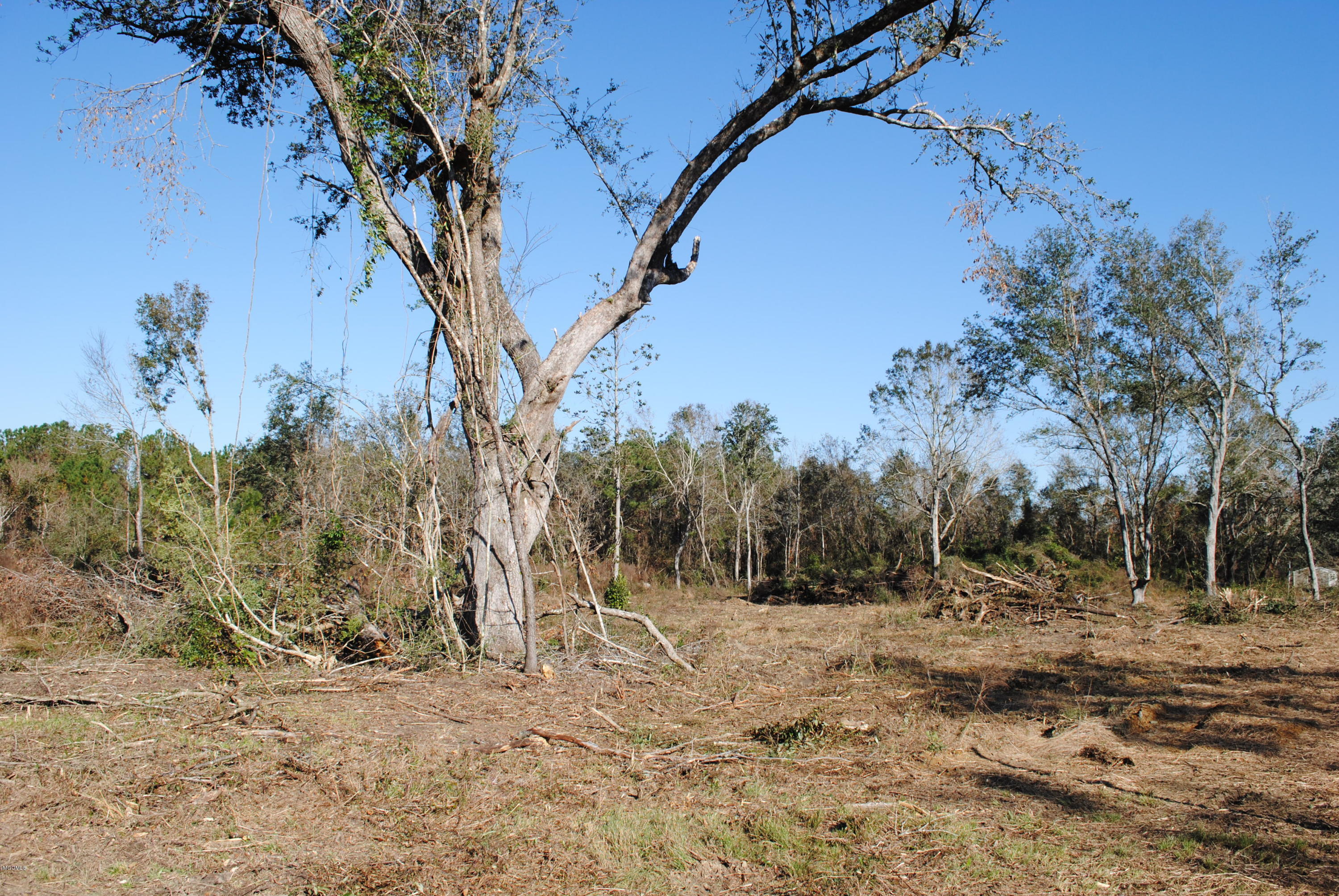 0 Bernice Road Pass Christian, MS 39571 - Photo 5 of 8 DSC_0498