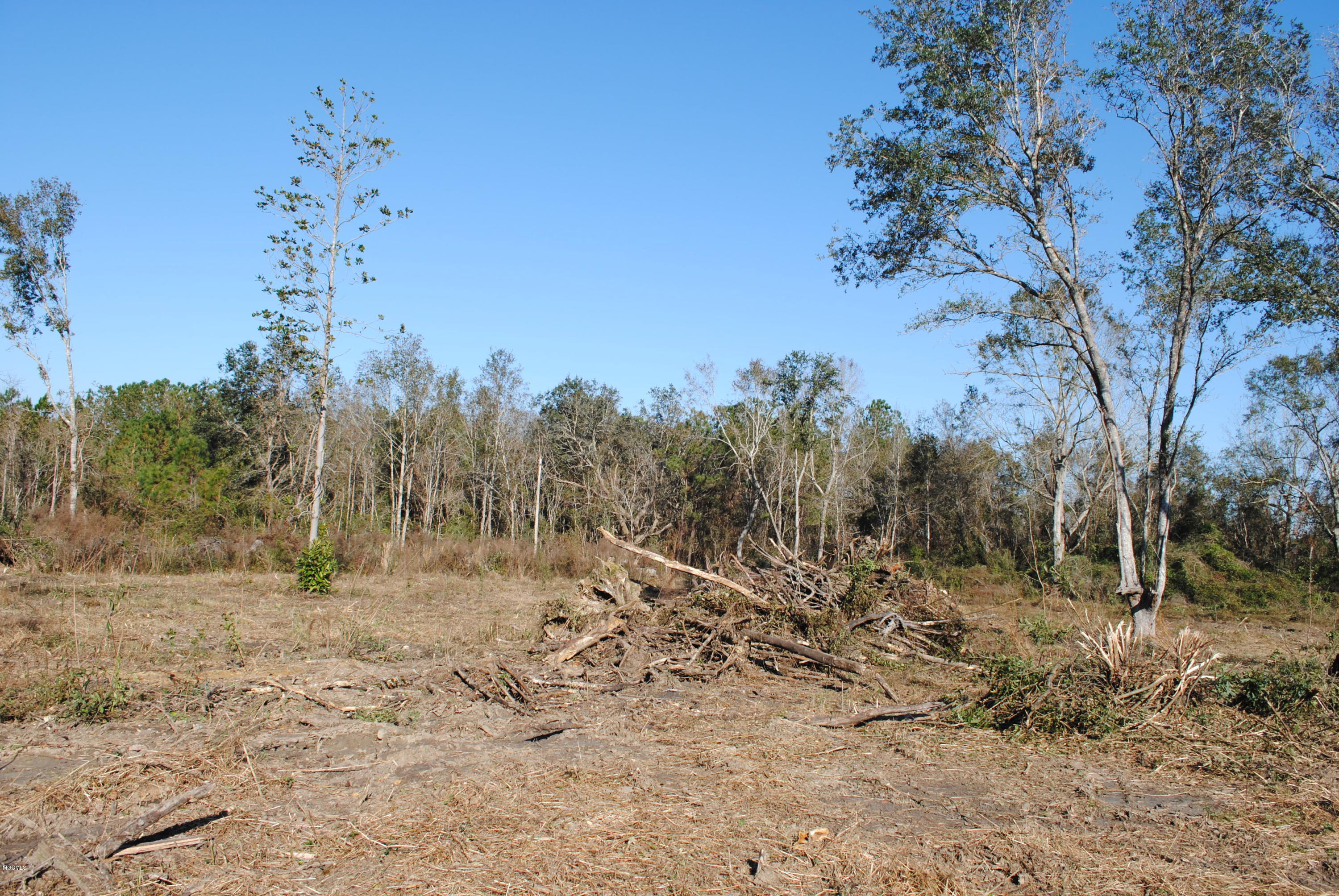 0 Bernice Road Pass Christian, MS 39571 - Photo 6 of 8 DSC_0499