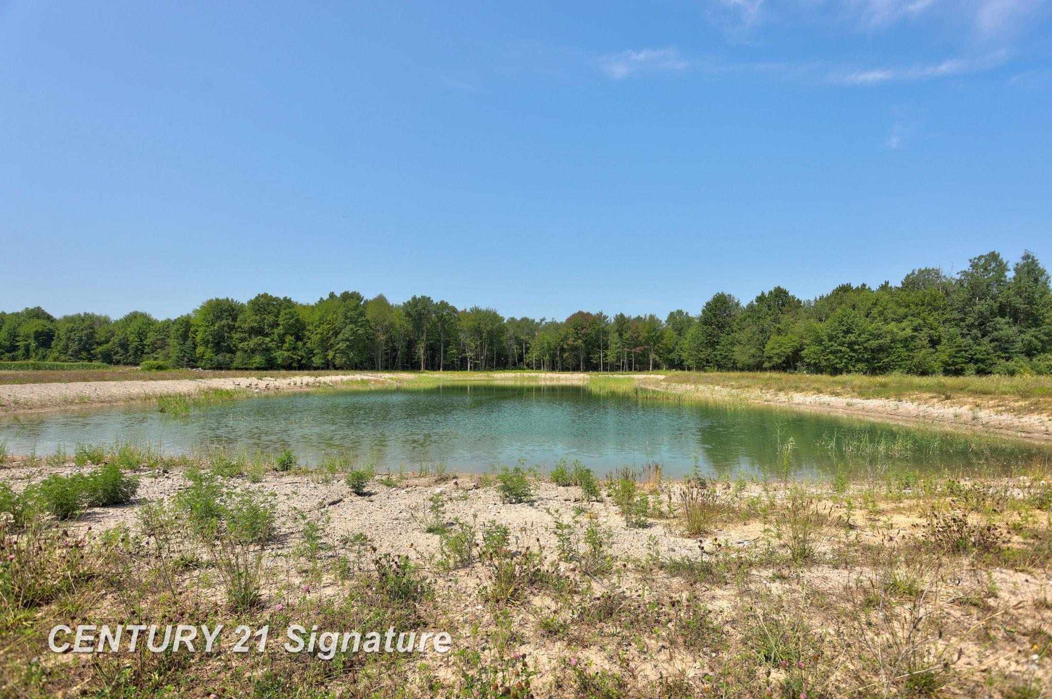 2250 South Hemlock Road Hemlock, MI 48626 - Photo 21 of 23 Gallery Image 21