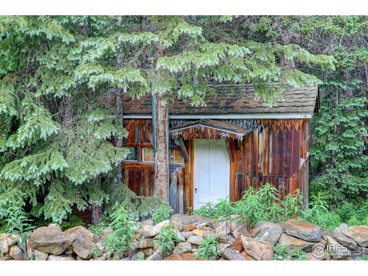 5672 Apex Valley Road Idaho Springs, CO 80452 - Photo 5 of 23 Bunk House