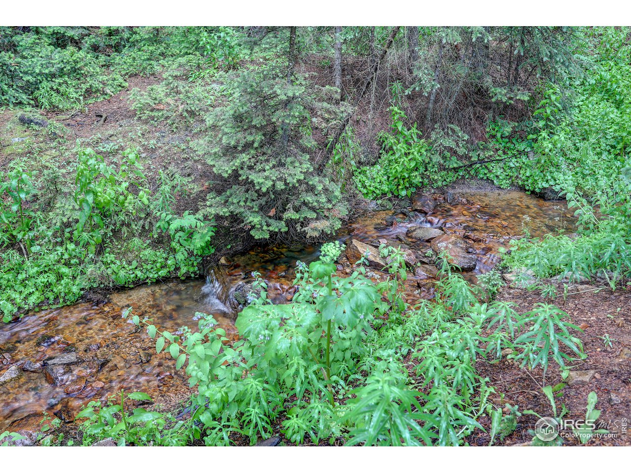 5672 Apex Valley Road Idaho Springs, CO 80452 - Photo 7 of 23 Year round creek that runs behind the home