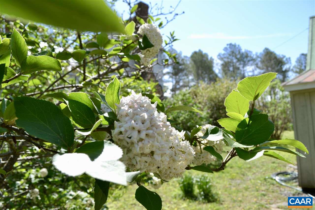 1400 Forest Clay Road Wingina, VA 24599 - Photo 15 of 19 a view of flowers
