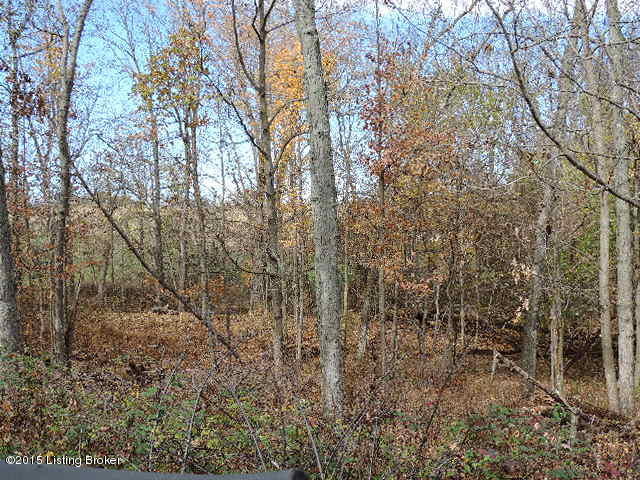 3098 Sulphur Road Sulphur, KY 40070 - Photo 39 of 48 3098 Sulphur Road 082