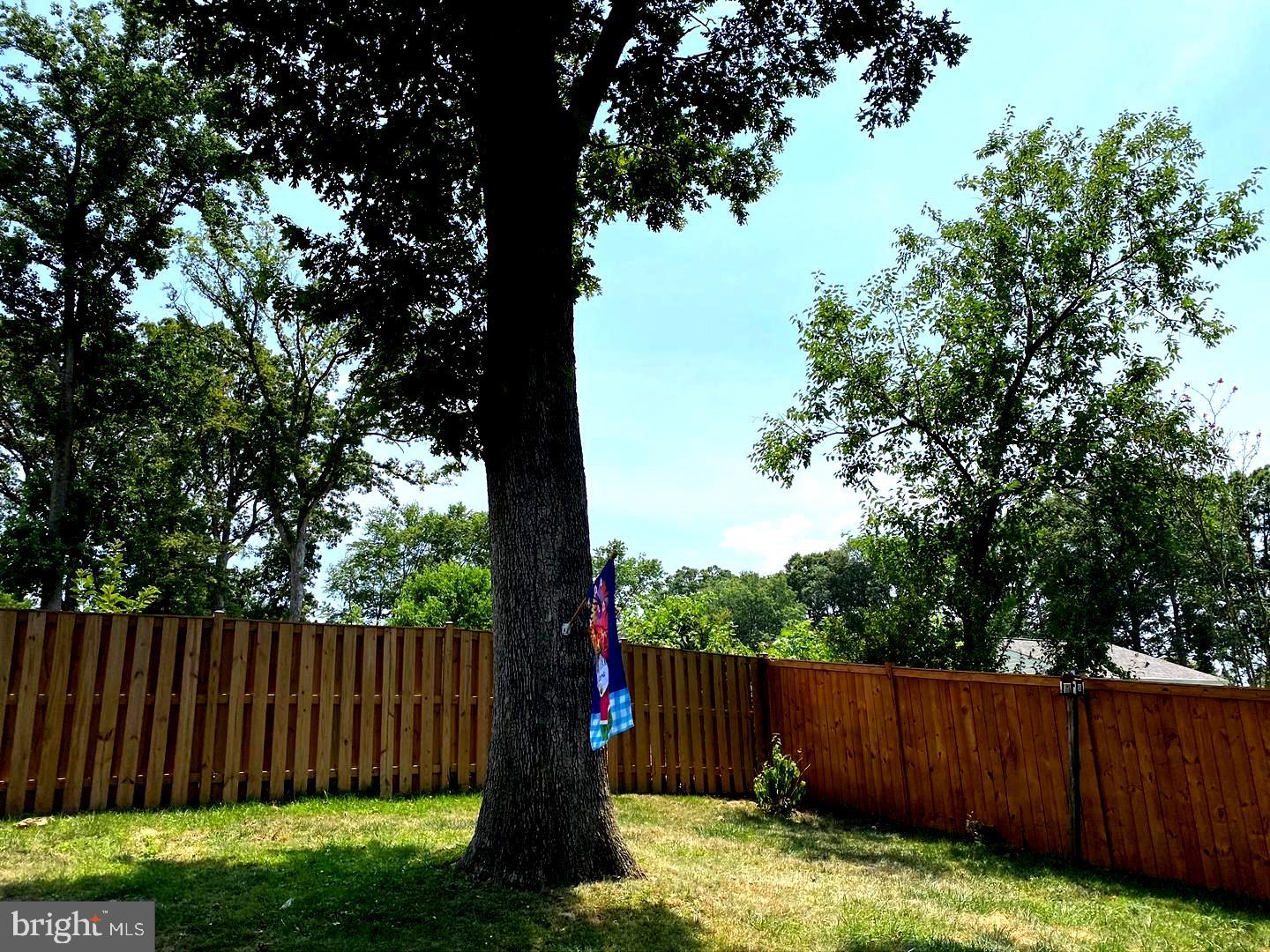 7427 Grace Street Springfield, VA 22150 - Photo 35 of 39