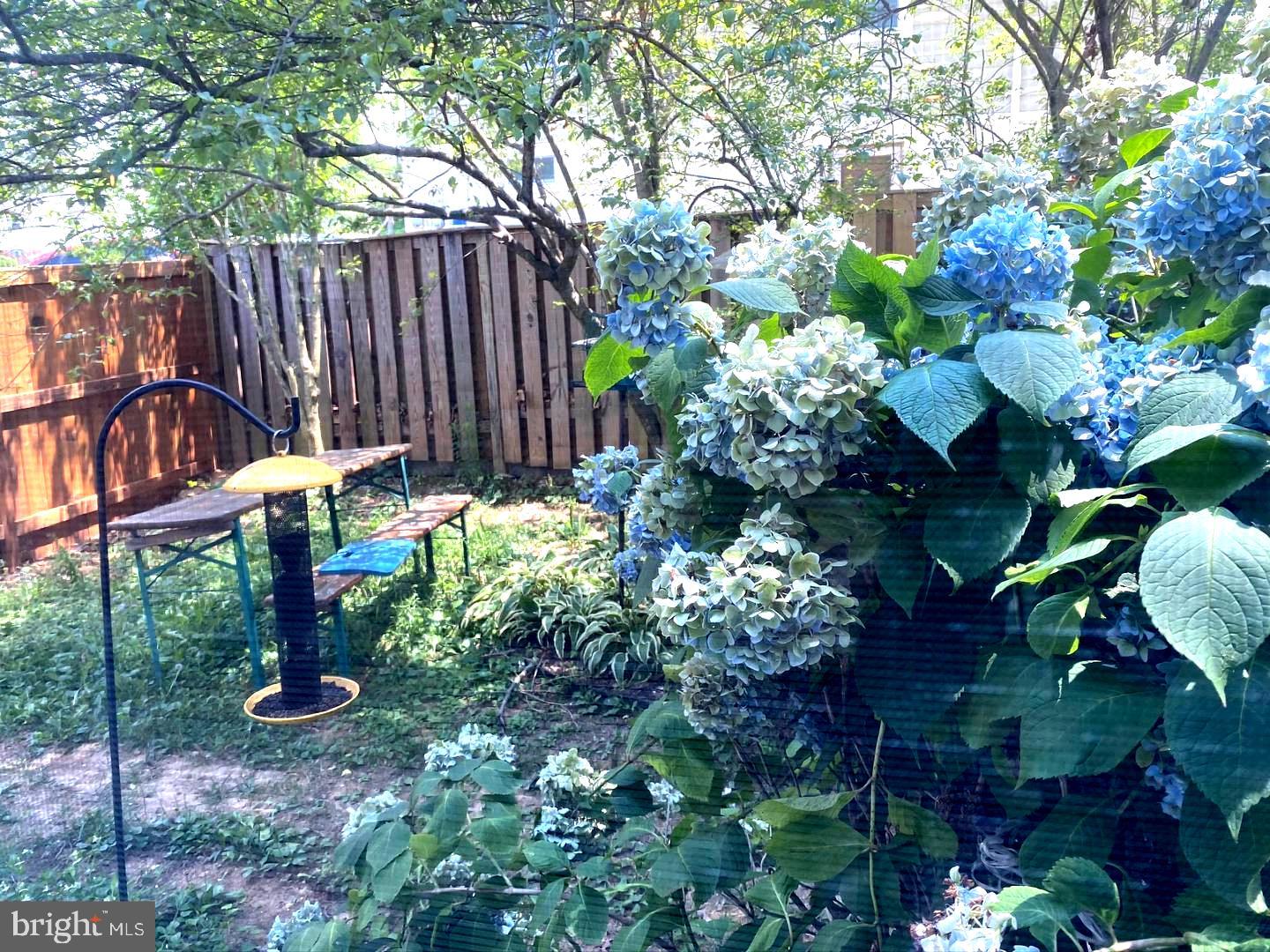 7427 Grace Street Springfield, VA 22150 - Photo 37 of 39