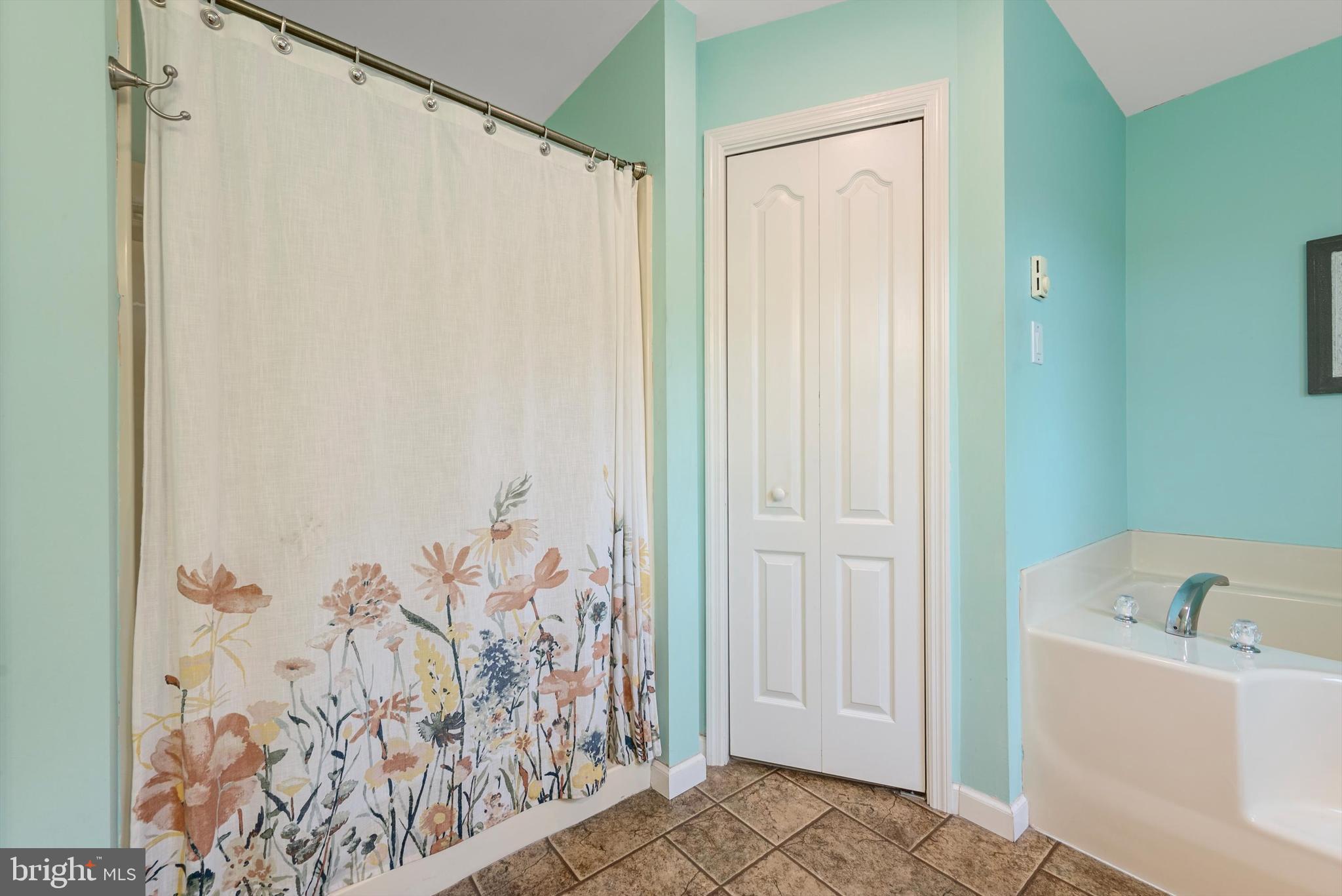 210 Gough Road Winchester, VA 22602 - Photo 19 of 58 Primary Bathroom