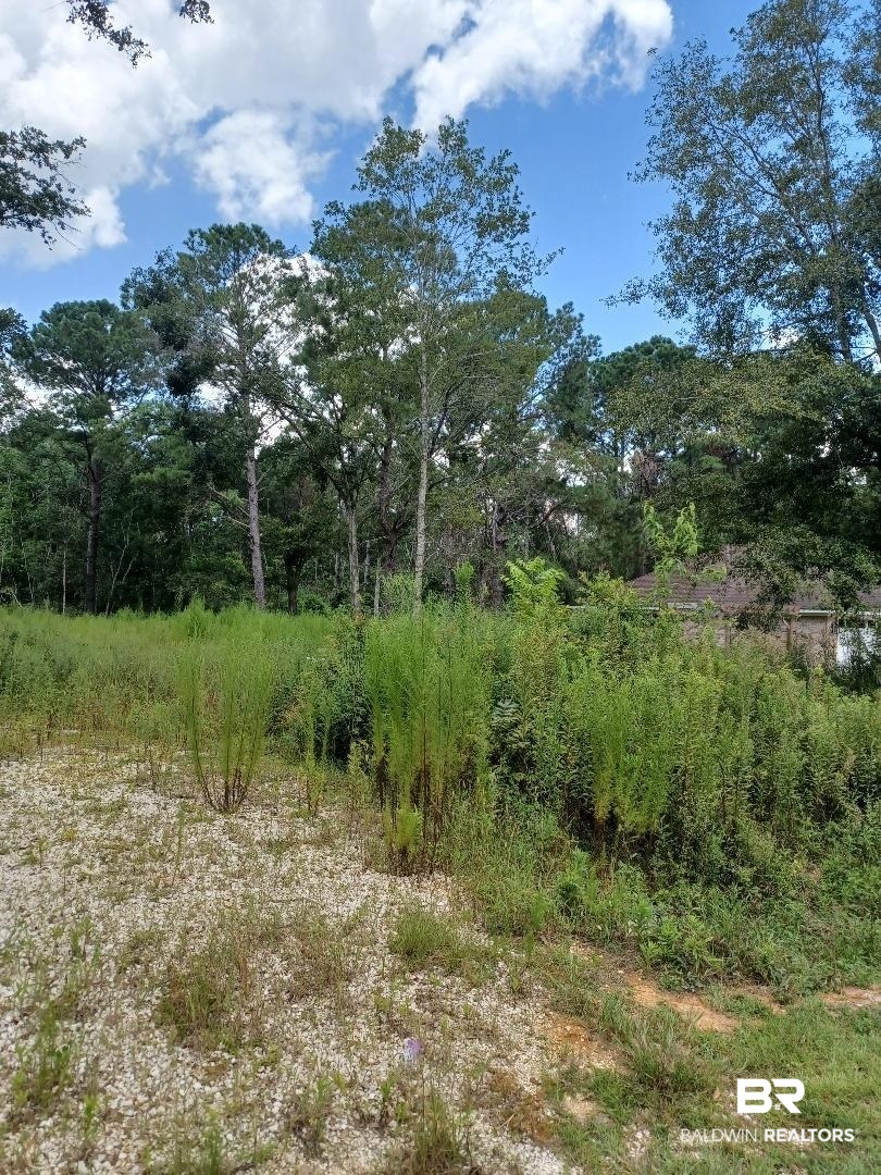 23281 Hill Road Silverhill, AL 36576 - Photo 11 of 13