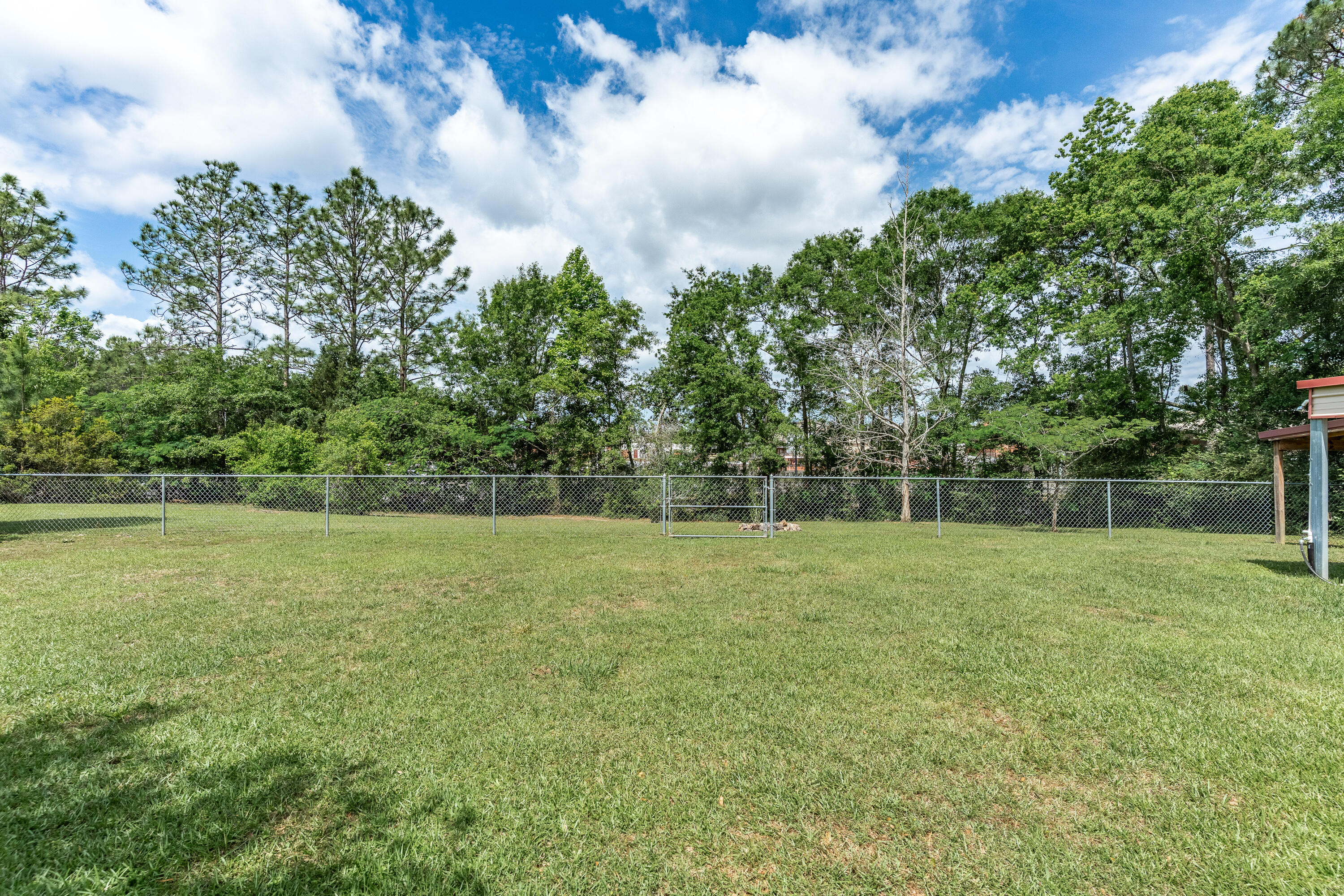 6100 Buckward Road Baker, FL 32531 - Photo 12 of 55 a view of a field with a tree