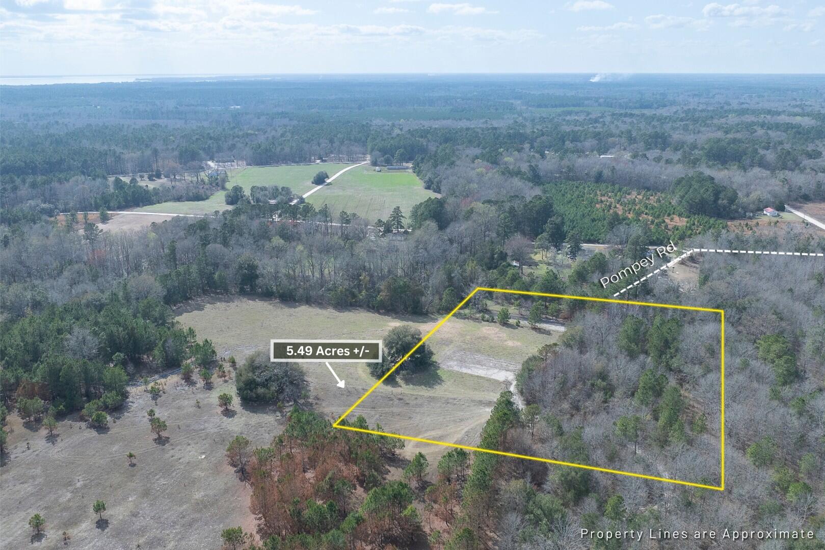 2 Pompey Road Manning, SC 29102 - Photo 7 of 40
