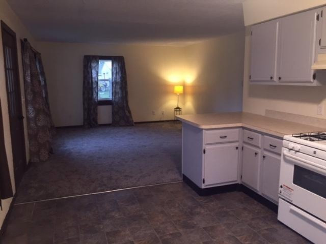 509 South George Street Decatur, MI 49045 - Photo 2 of 6 img3.1479169060