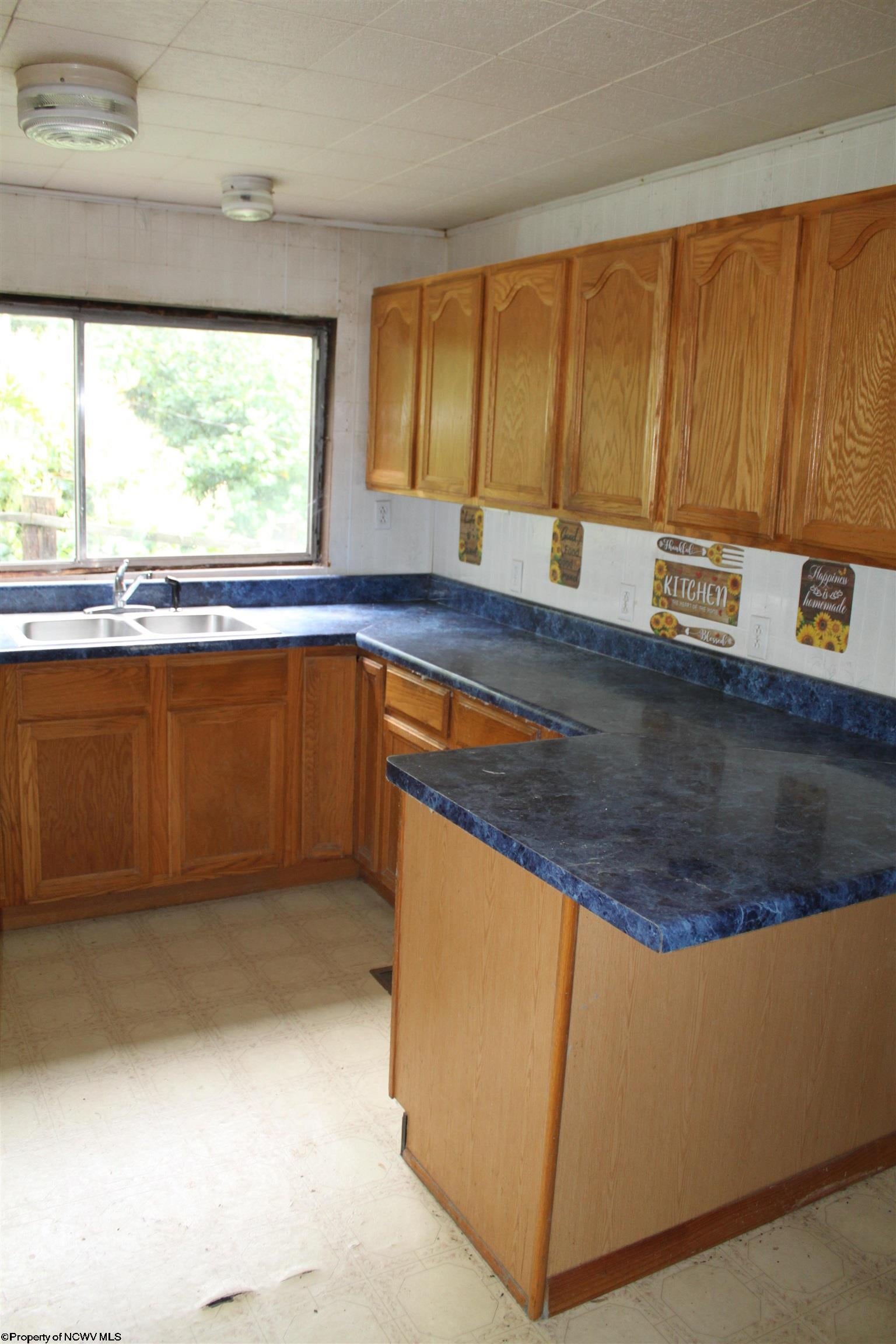 233 Kingfisher Road Webster Springs, WV 26288 - Photo 5 of 27 Gallery Image 5