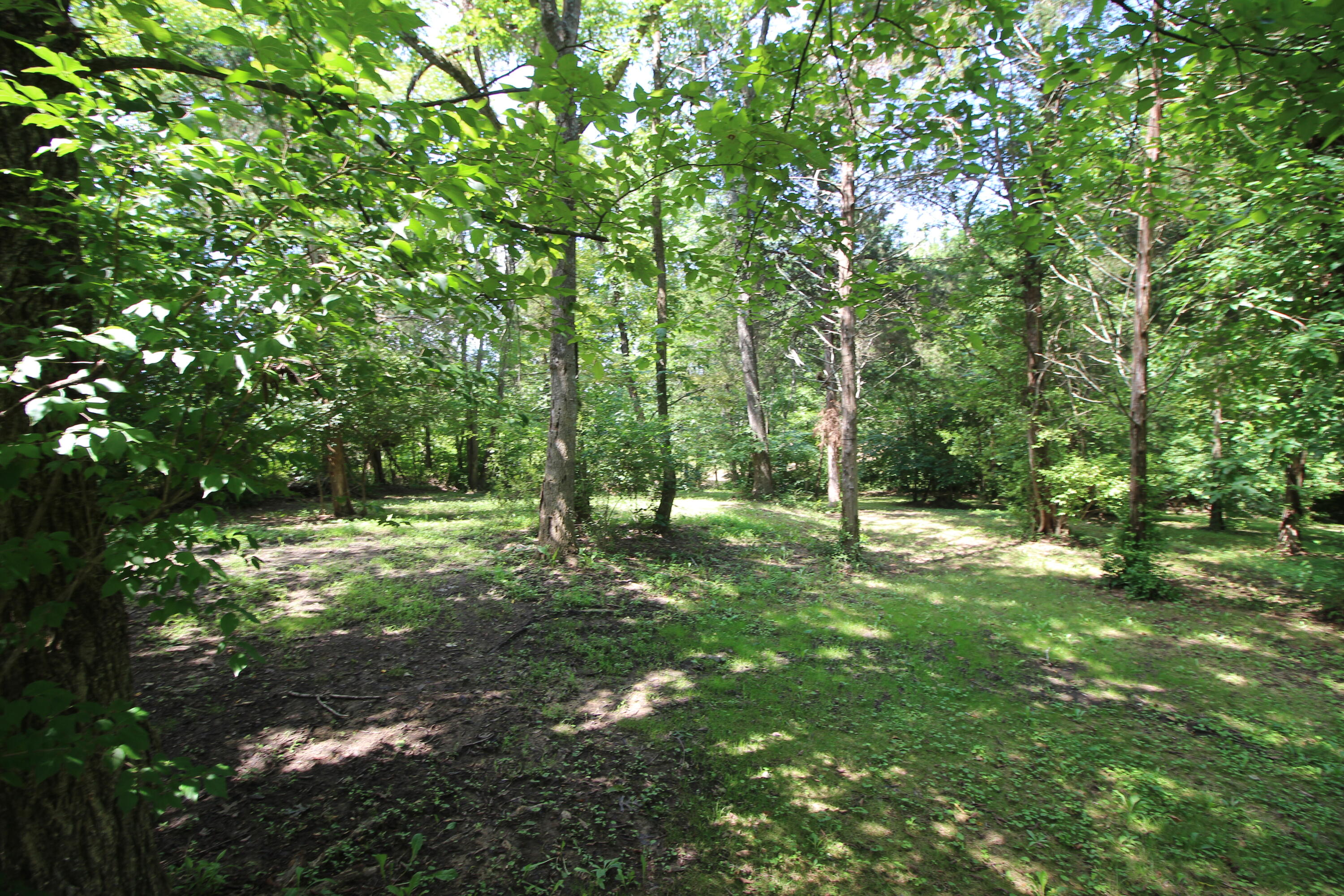 1225 Winston Road Irvine, KY 40336 - Photo 57 of 68 Backyard