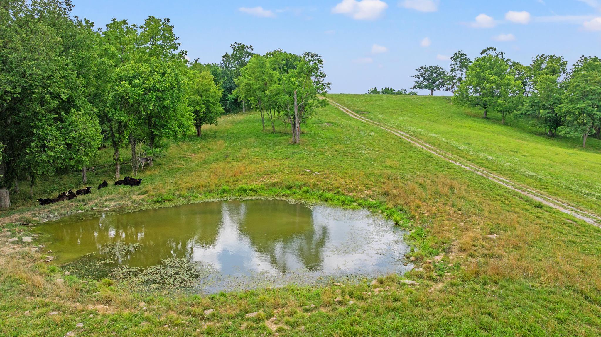783 Rutland Road Cynthiana, KY 41031 - Photo 40 of 50 DJI_20260618123637_0875_D