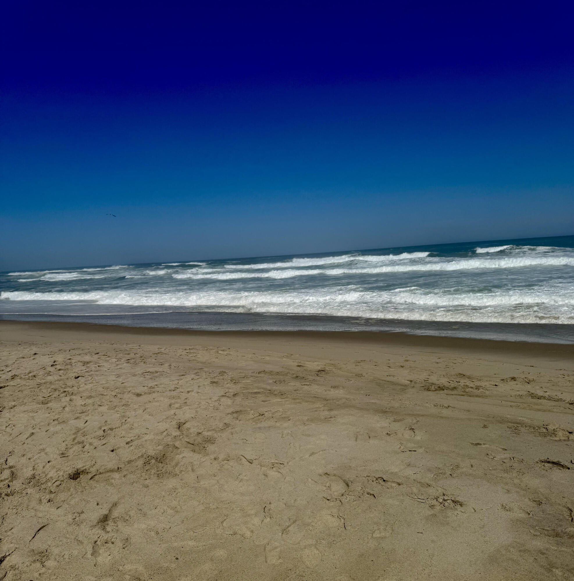 291 Ridgevale Road Chatham, MA 02633 - Photo 5 of 53 a view of a room with a fireplace