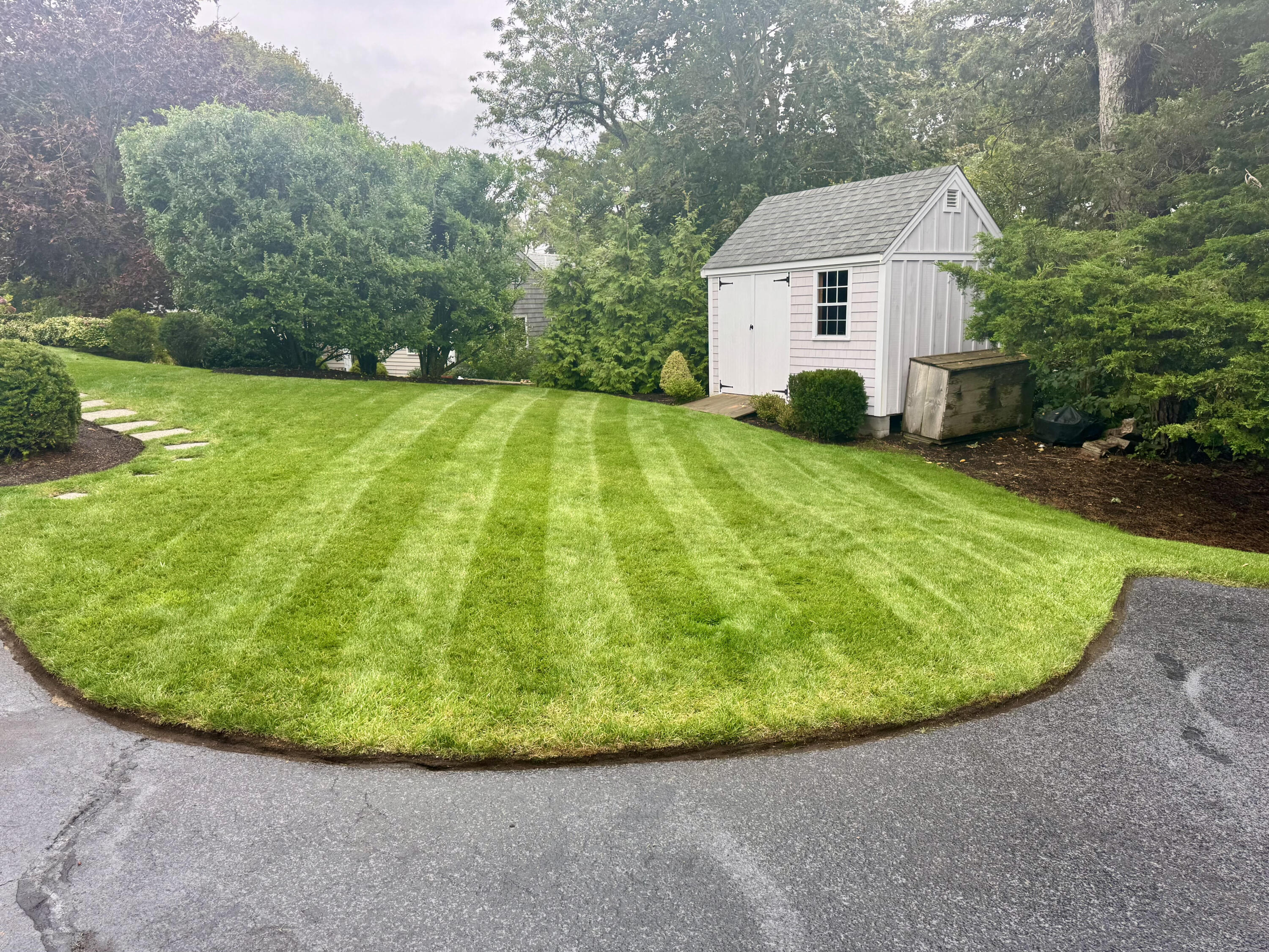 291 Ridgevale Road Chatham, MA 02633 - Photo 52 of 53 a view of a backyard with plants and large trees
