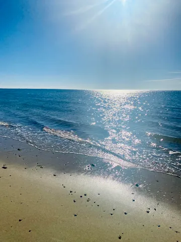 a house with a potted plant in front of it