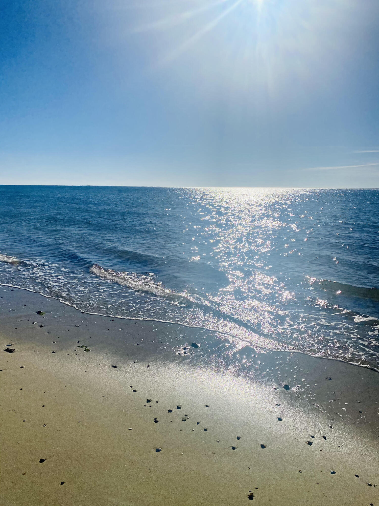 291 Ridgevale Road Chatham, MA 02633 - Photo 6 of 53 Ridge Beach 2