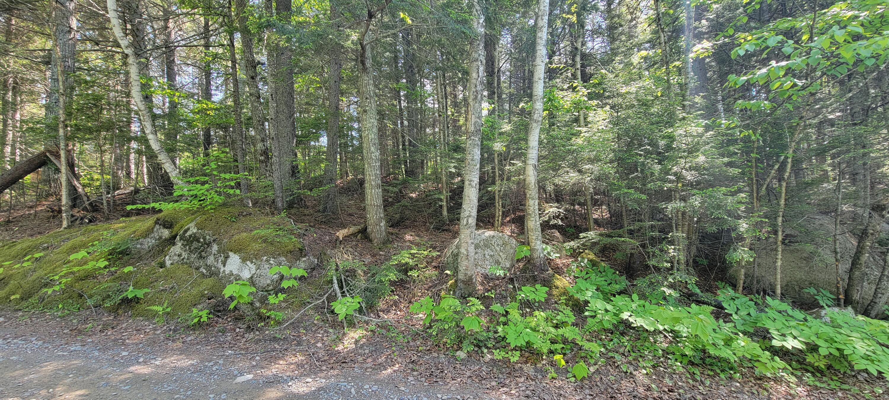 214 Sandy Beach Road Danforth, ME 04424 - Photo 34 of 38 20220607_150113