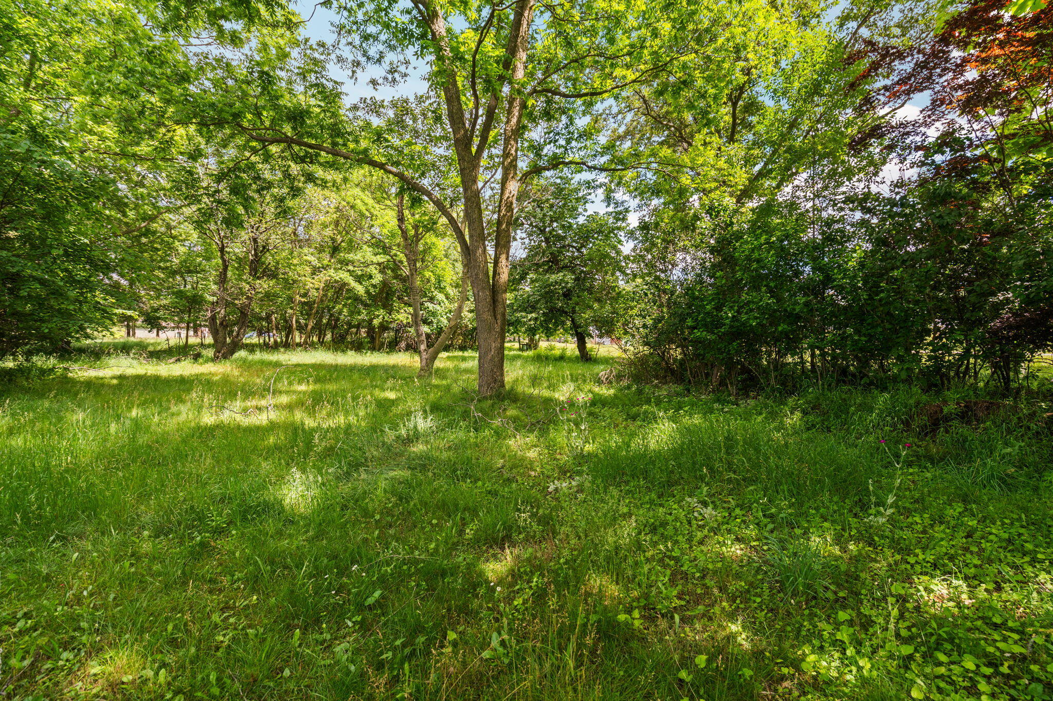 18250 Bush Road Chelsea, MI 48118 - Photo 13 of 18 46-web-or-mls-DSC00851