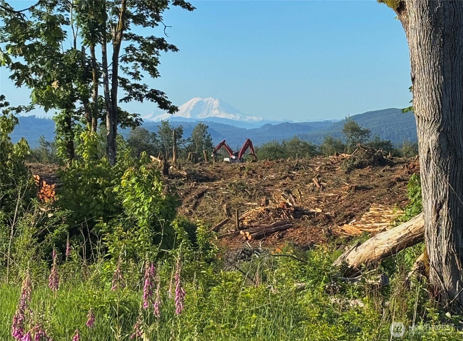 27417 Old Pipeline Road Monroe, WA 98272 - Photo 12 of 38 Gallery Image 12