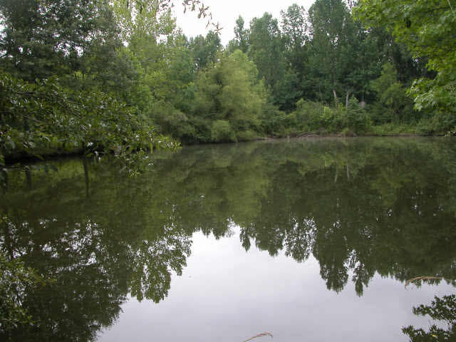 600 Stout Road Madison, MS 39110 - Photo 1 of 1 Photo 1