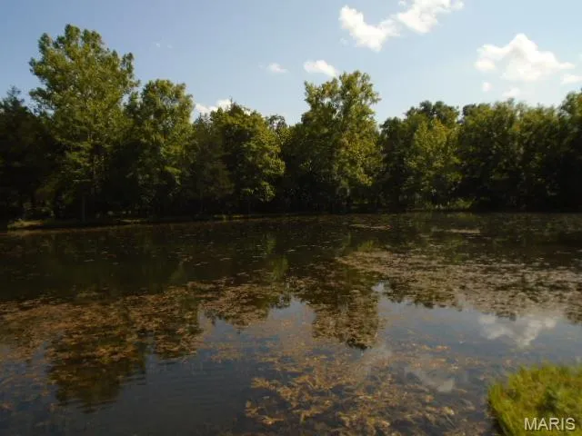 $1,250,000 | 0 County Road 135, Annapolis, MO 63620