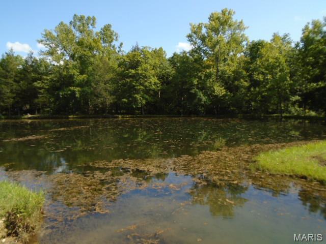 0 County Road 135 Annapolis, MO 63620 - Photo 14 of 24