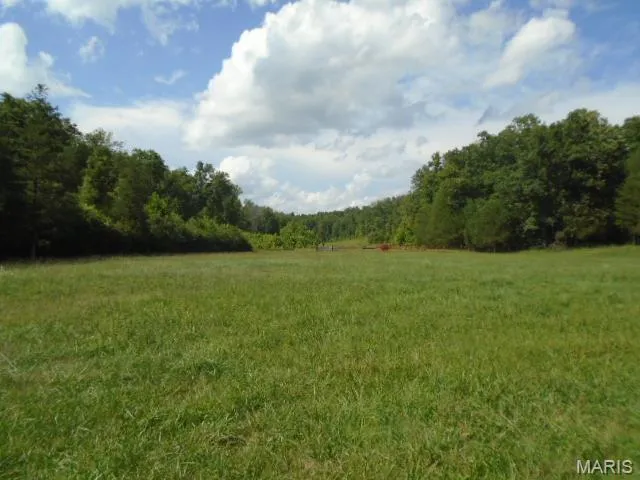 $1,250,000 | 0 County Road 135, Annapolis, MO 63620