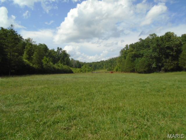 0 County Road 135 Annapolis, MO 63620 - Photo 17 of 24