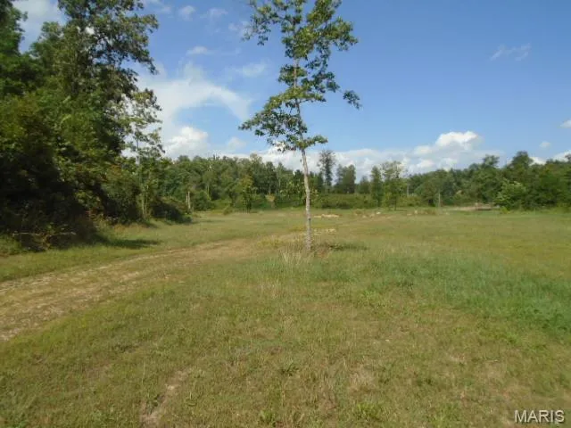 $1,250,000 | 0 County Road 135, Annapolis, MO 63620
