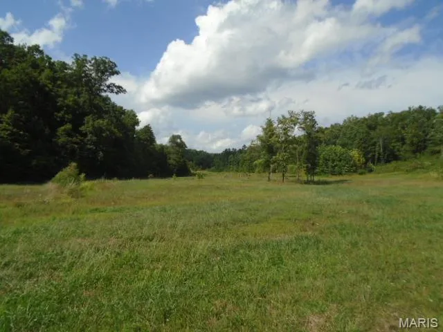 $1,250,000 | 0 County Road 135, Annapolis, MO 63620