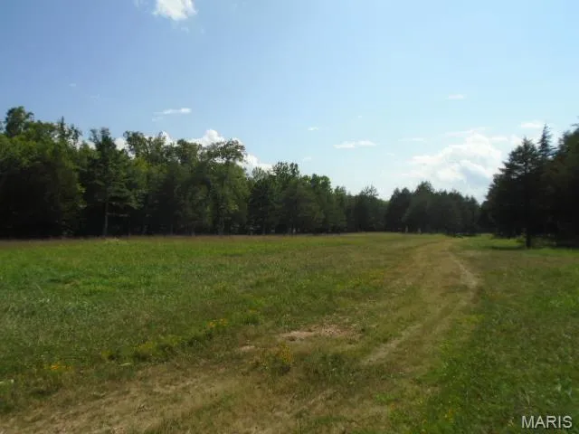 $1,250,000 | 0 County Road 135, Annapolis, MO 63620