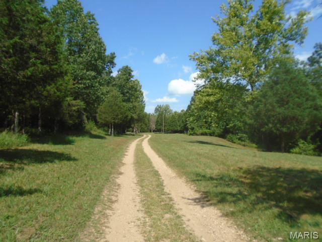 0 County Road 135 Annapolis, MO 63620 - Photo 8 of 24
