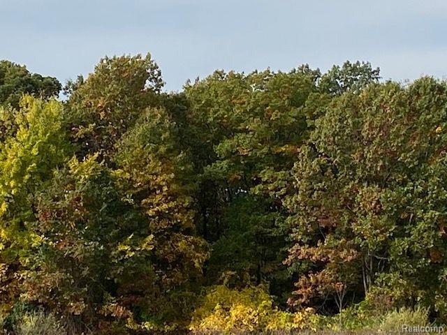 8.26 Acres Lapeer, MI 48446 - Photo 4 of 7