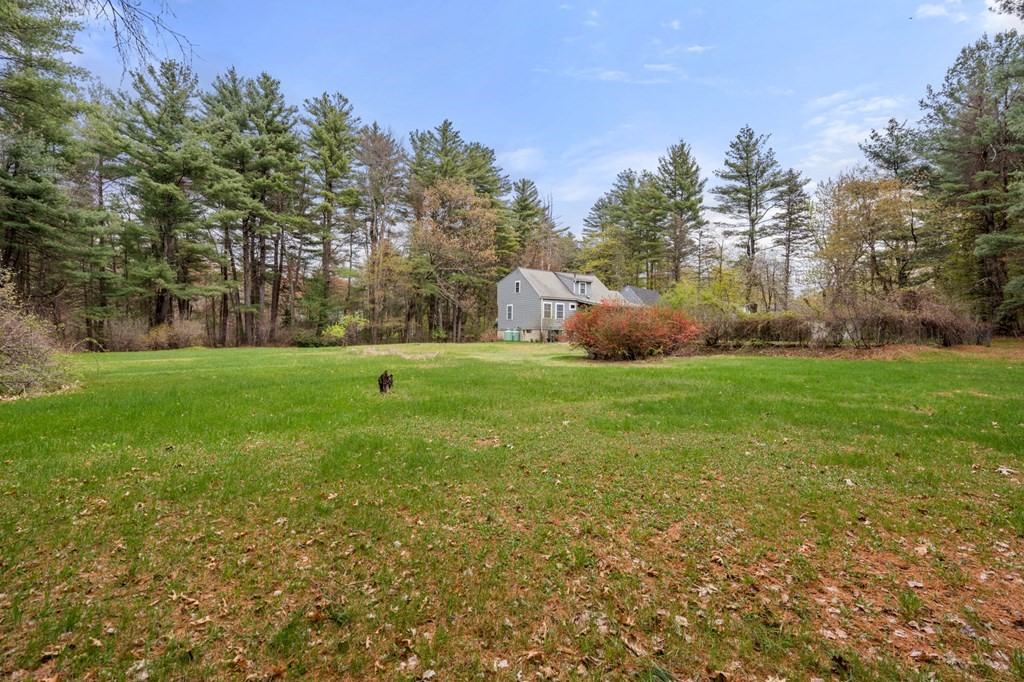 47 Stonebrook Road Sudbury, MA 01776 - Photo 16 of 17 a backyard of a house with lots of green space