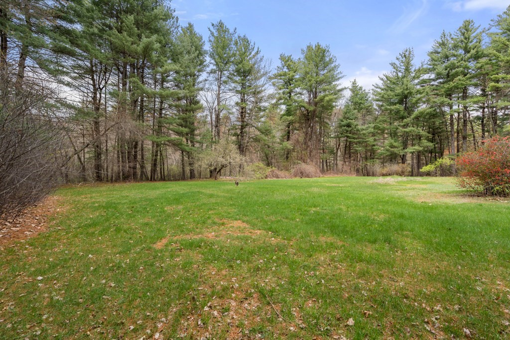 47 Stonebrook Road Sudbury, MA 01776 - Photo 17 of 17 a view of a park with large trees