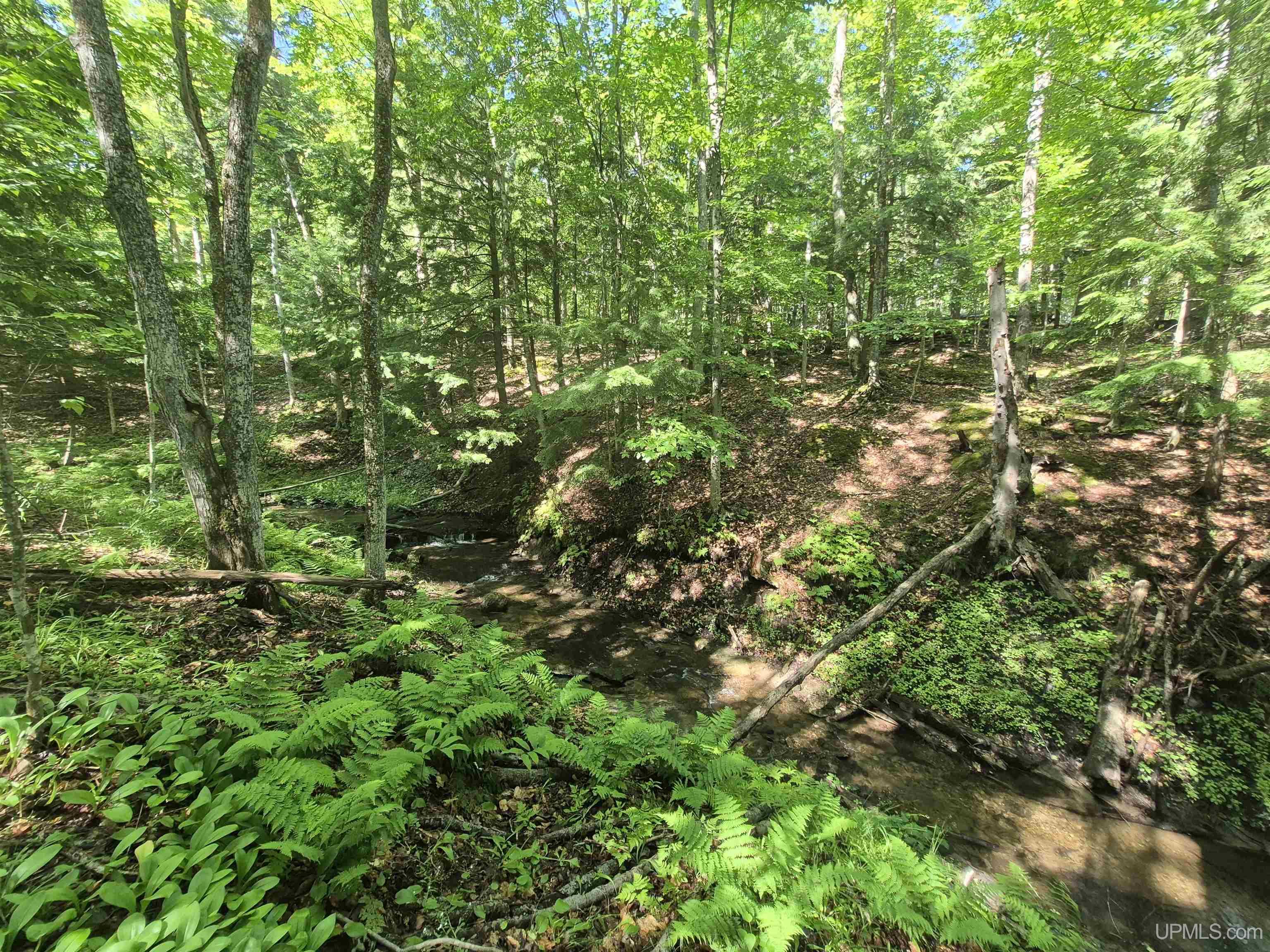 8-acres Nestor Road Munising, MI 49862 - Photo 27 of 43