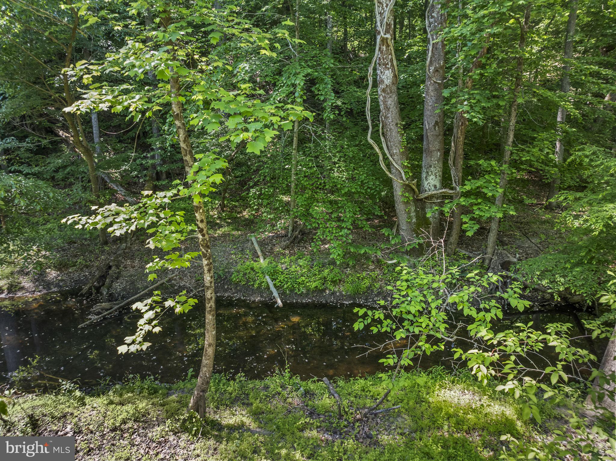 15690 Nelson Perrie Road Brandywine, MD 20613 - Photo 18 of 19 a view of a lush green forest
