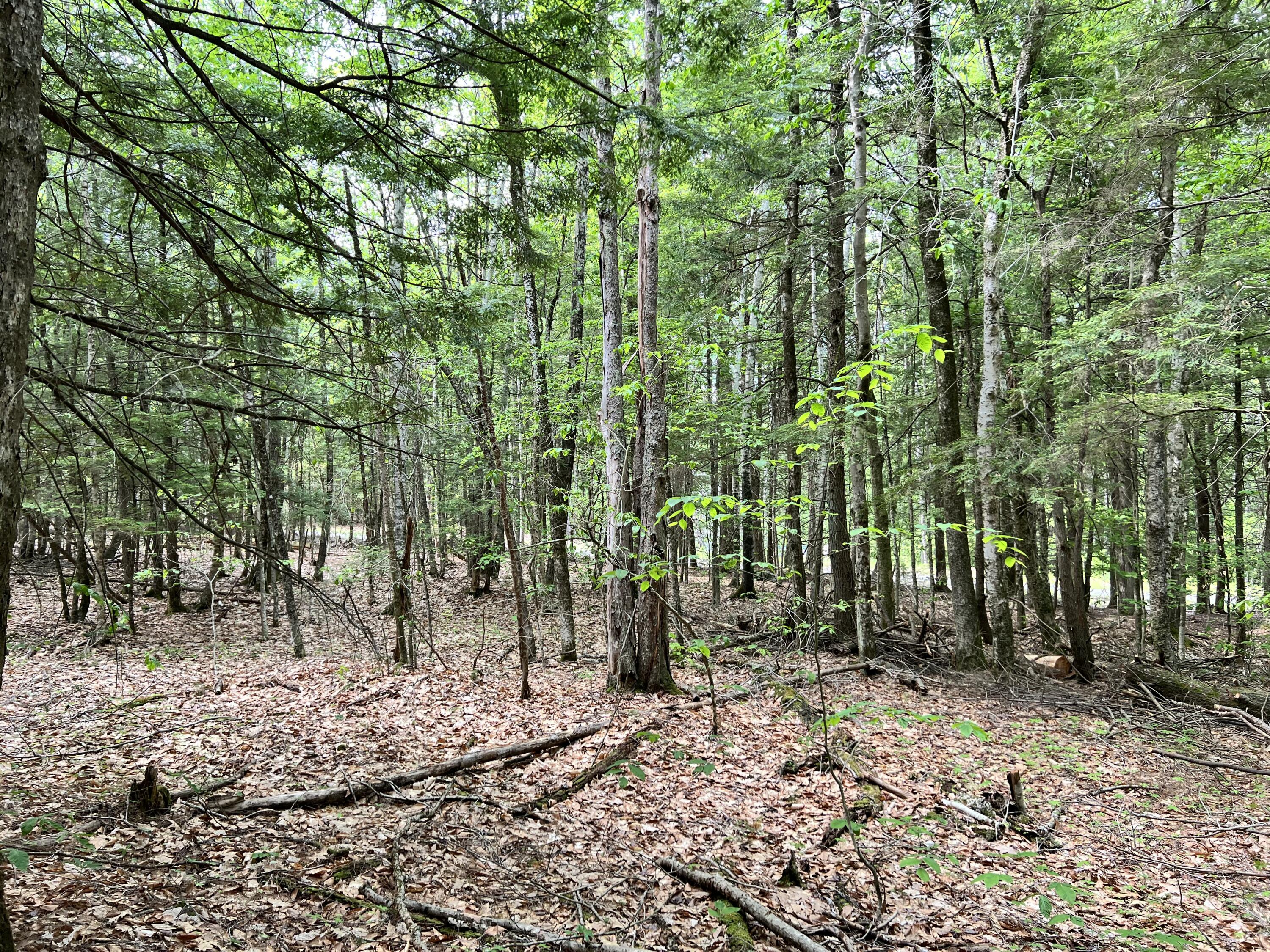 139 A Pratt Road Bowdoinham, ME 04008 - Photo 12 of 17 18