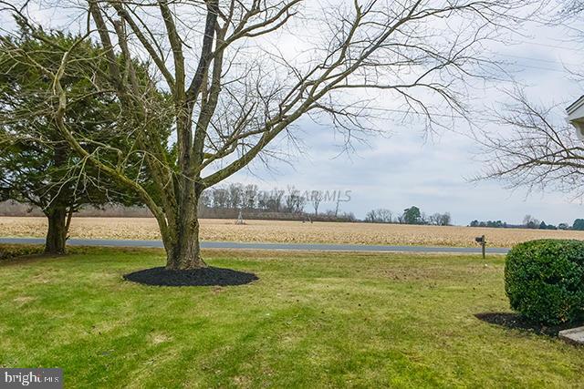 27530 Log Cabin Road Salisbury, MD 21801 - Photo 34 of 34 Gallery Image 34