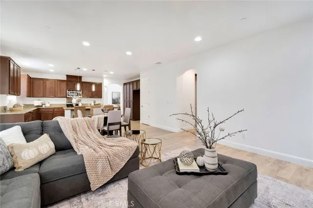 a living room with furniture flowerpot and a potted plant