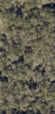 $85,000 | 0 Southwest Blanton Lane, Lake City, FL 32024