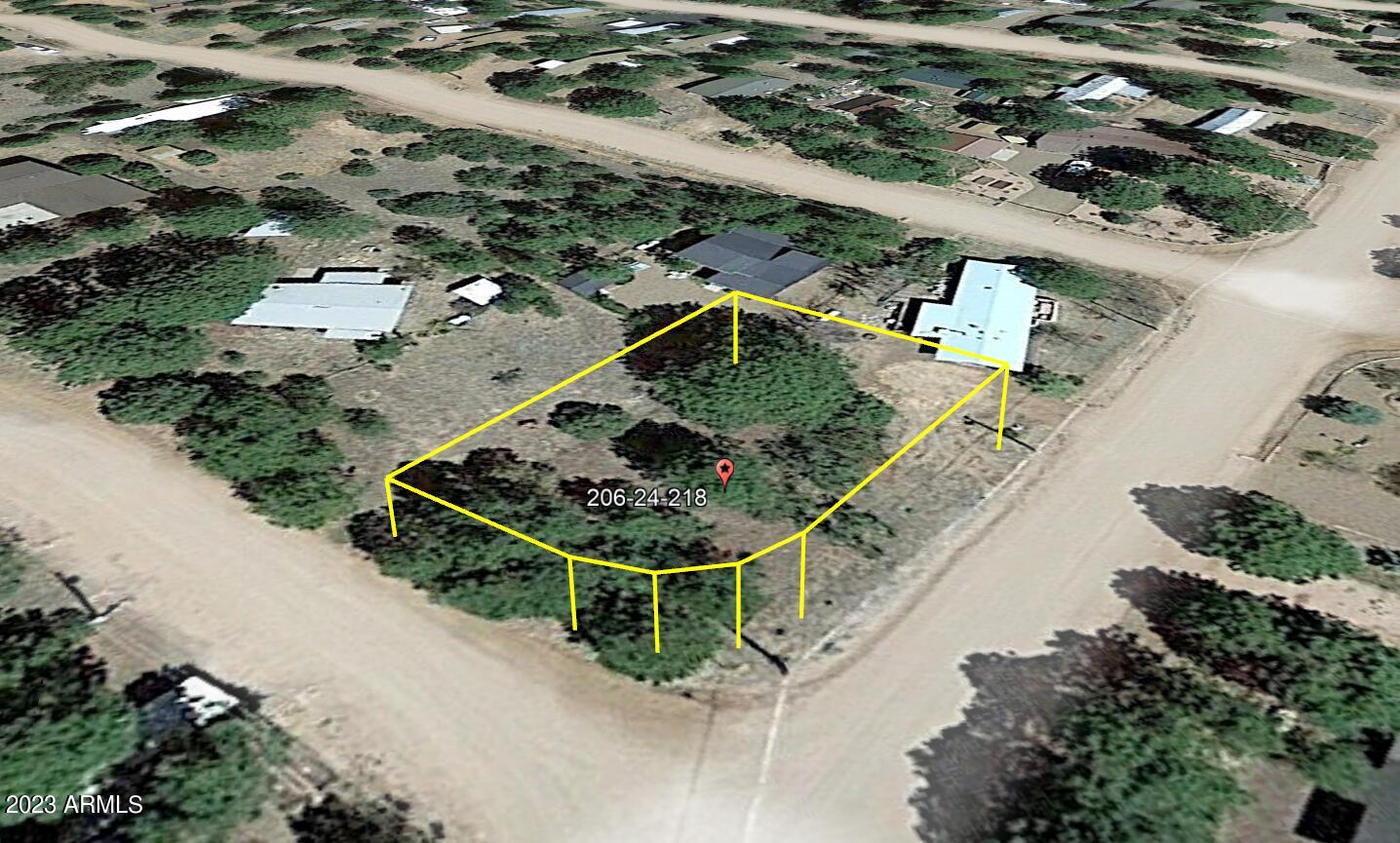2869 Wahoo Road, Unit 218 Overgaard, AZ 85933 - Photo 3 of 6 Pic 3