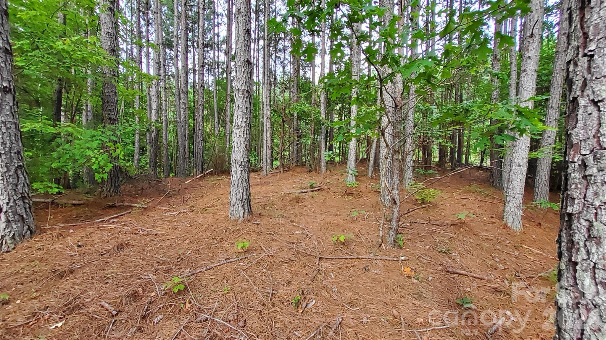 0 Sunset Drive, Unit 12 Mill Spring, NC 28756 - Photo 12 of 20 Gallery Image 12