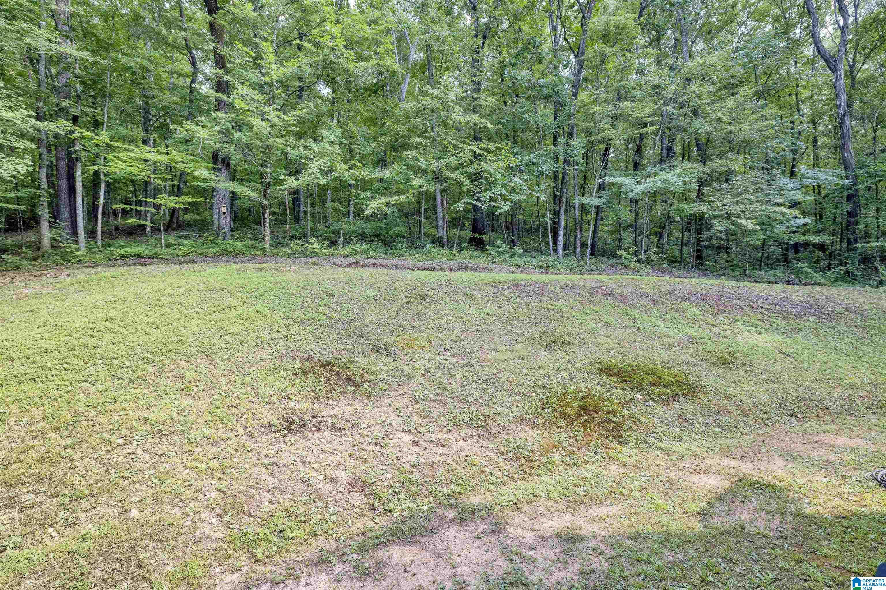 445 Berrington Lane Springville, AL 35146 - Photo 40 of 55 Gallery Image 40