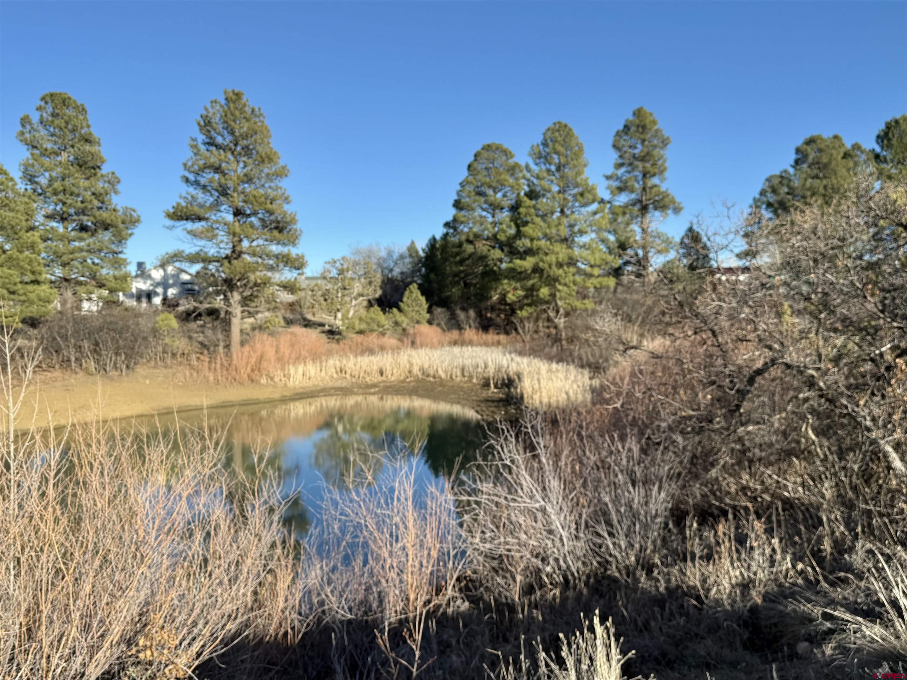213 Treeline Street Durango, CO 81303 - Photo 40 of 41