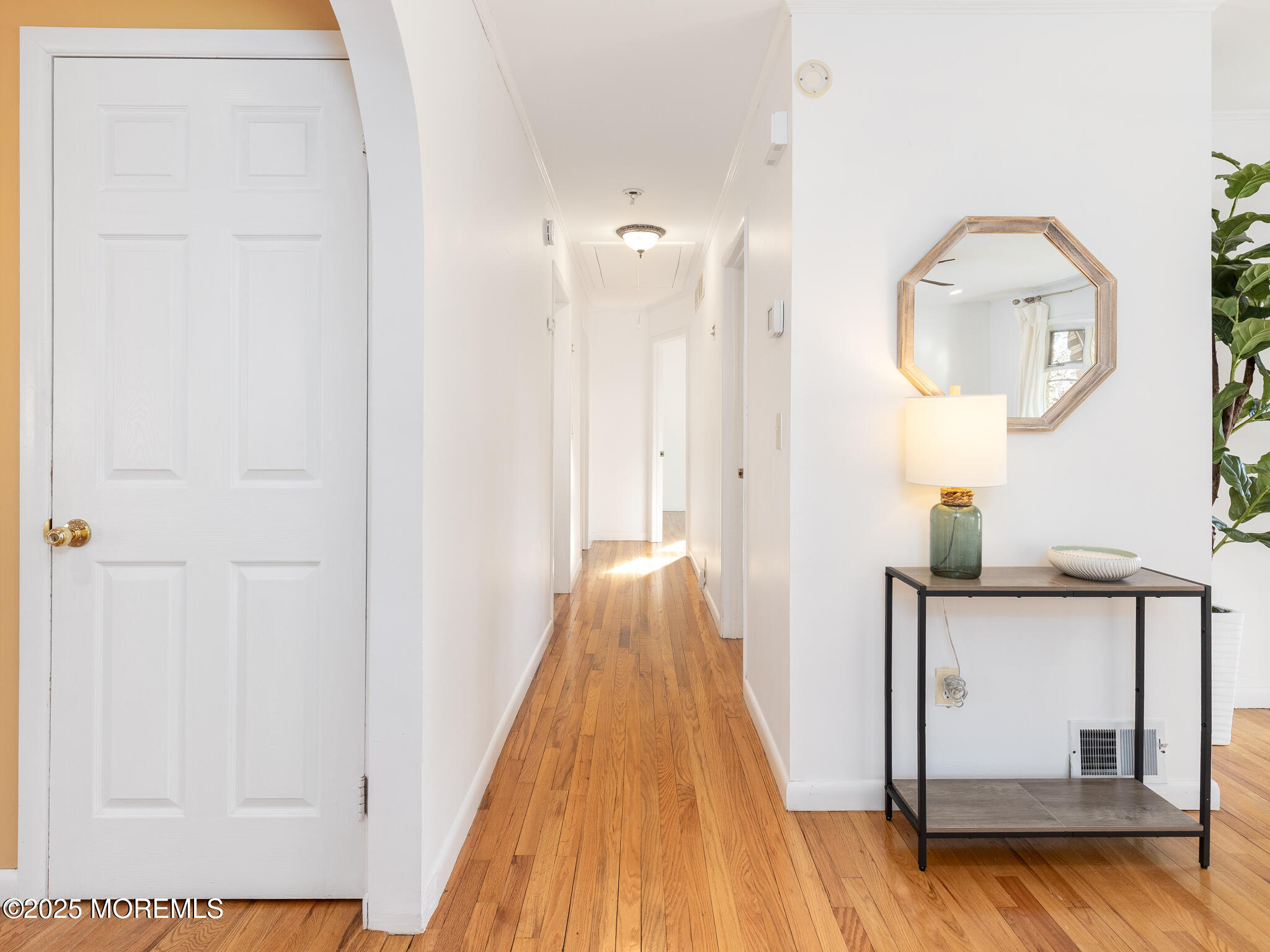 2006 Fairway Drive Spring Lake, NJ 07762 - Photo 11 of 34 2025-12-20_2006_Fairway_Drive_Wall_Salta