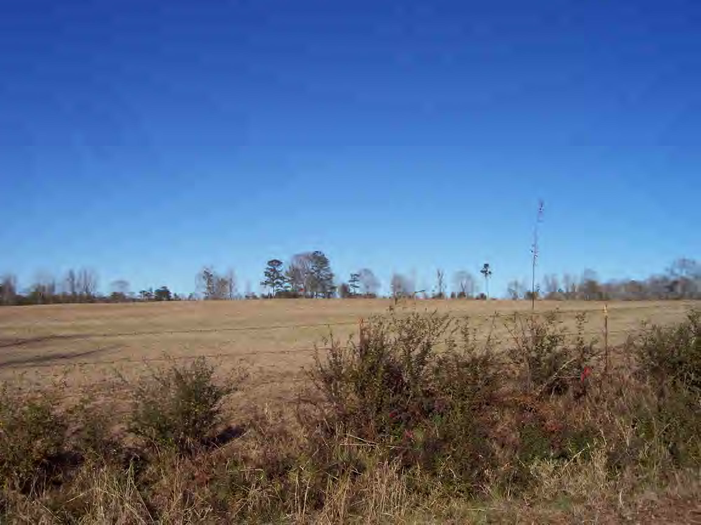 Main View
