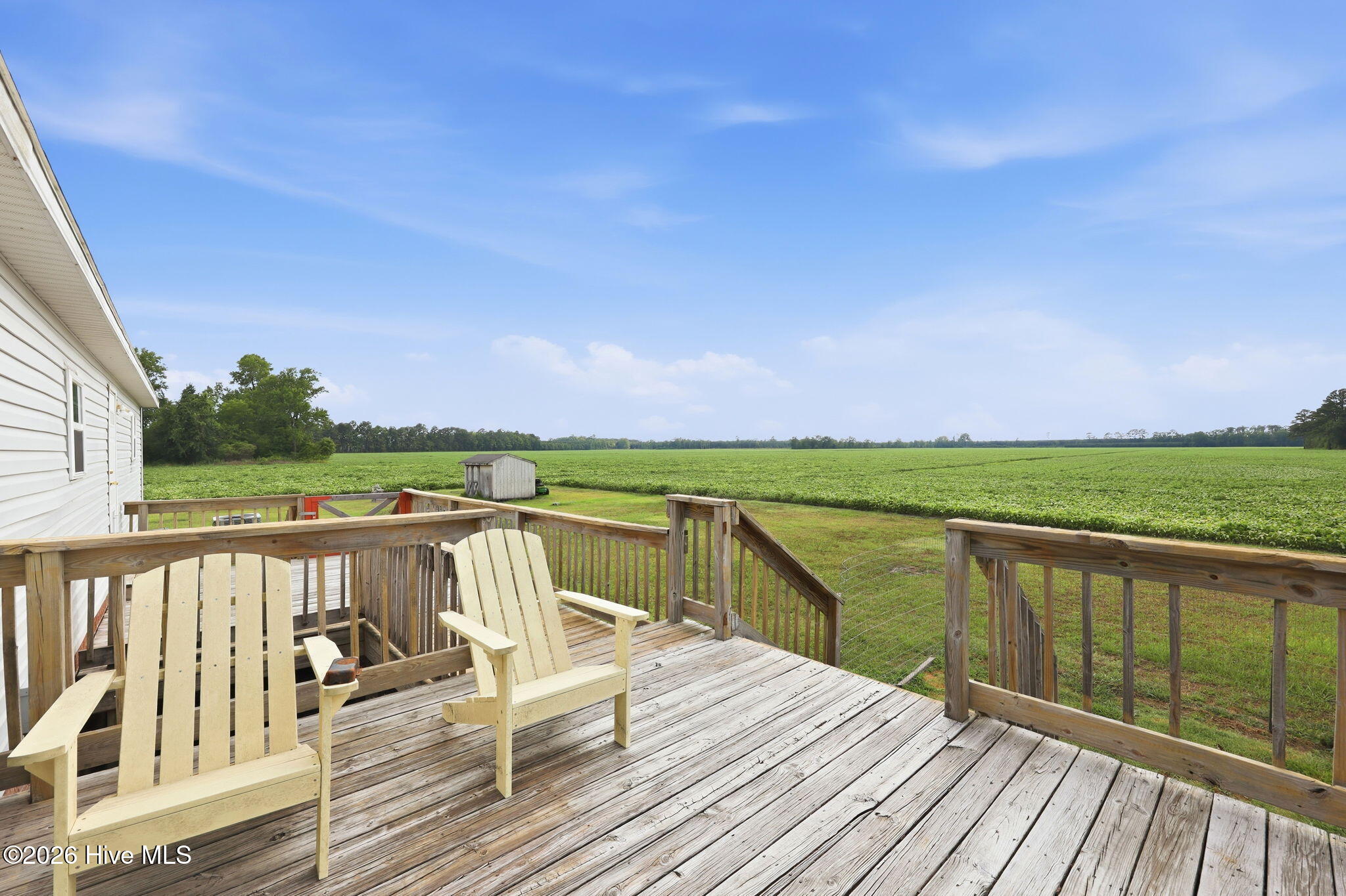 252 Heath Swamp Road Cove City, NC 28523 - Photo 44 of 55