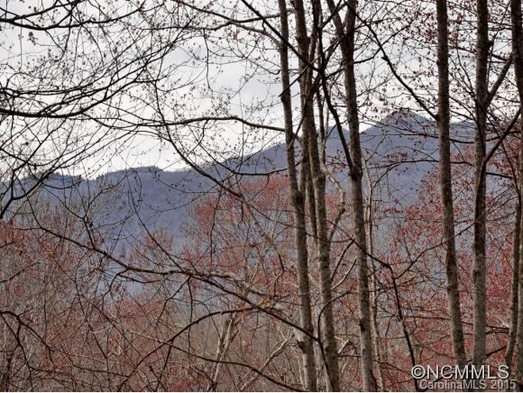 295 Woodland Road Sylva, NC 28779 - Photo 2 of 24